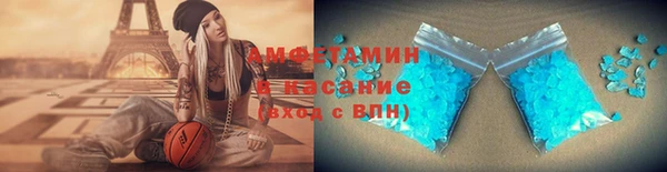 сатива Аркадак
